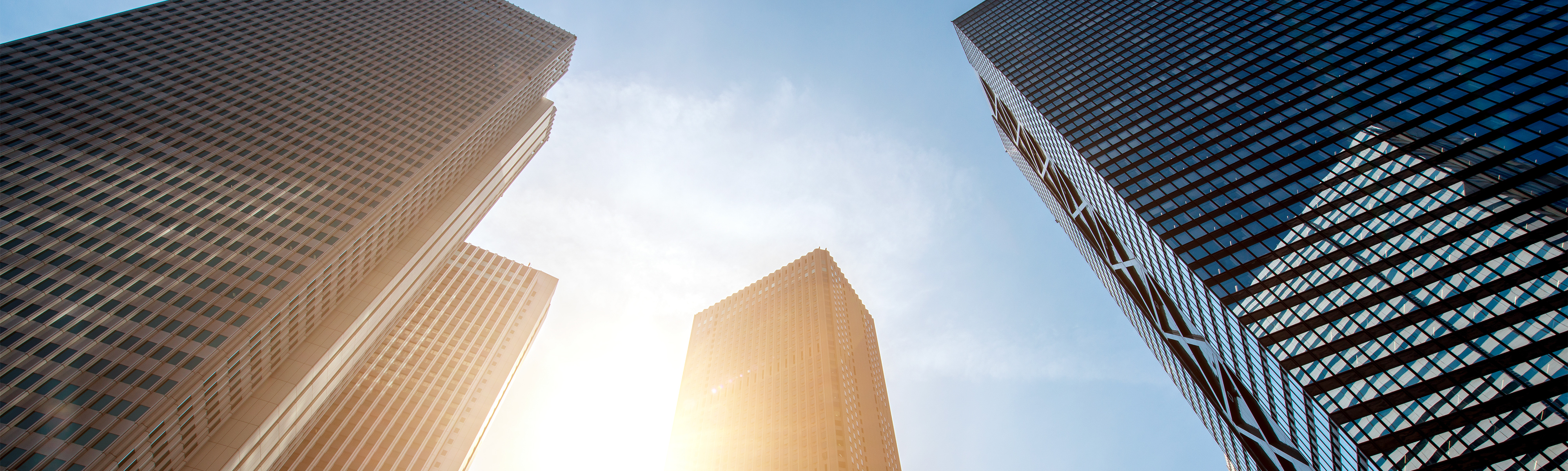 東京の高層ビル群